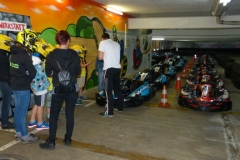 2014_Cartfahren_04