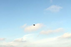 Drachenfest_2012_Uthlede02