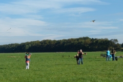 2014_Drachenfest_07