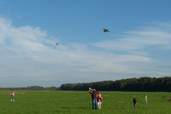 2014_Drachenfest_08