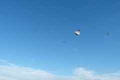 2014_Drachenfest_10