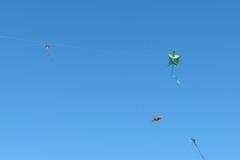 2014_Drachenfest_11