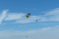 2014_Drachenfest_13
