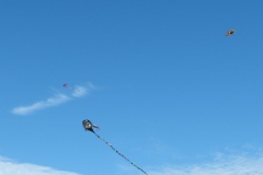 2014_Drachenfest_14